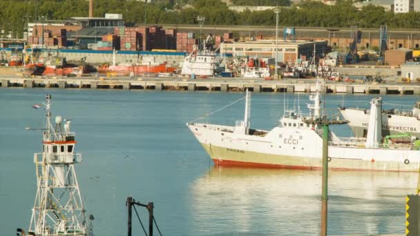 Montevideo Uruguay Port Loděmi Přepravními Kontejnery Jihoamerickém Obchodním Rozbočovači — Stock video