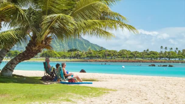 Senior Medborgare Semester Sitter Palm Skuggan Stranden Stolar Honolulu Hawaii — Stockvideo