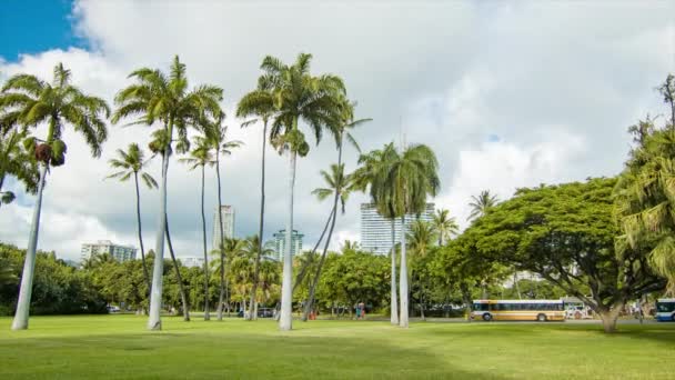 Park Honolulu Hawaii Med Grönt Gräs Och Palmer Tropical Waikiki — Stockvideo