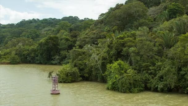 Weelderige Groene Natuur Aan Oevers Van Het Panama Kanaal Met — Stockvideo