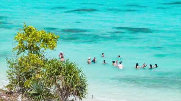 Les Gens Nagent Dans Eau Bleue Transparente Île Lifou Avec — Video