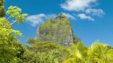 Egzotik Güney Pasifik Fransız Polinezyası Moorea Adası'nda Tropikal Doğa Ayarı Majestic Moua Puta Dağı