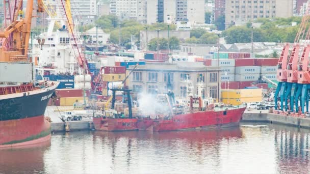 Imágenes Industriales Del Puerto Mercancías Para Fondo — Vídeos de Stock