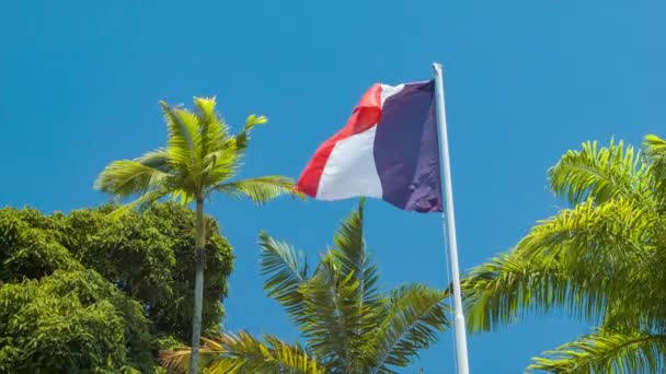 Bandeira Francesa Tropical New Caledonia Island Setting Com Palmeiras Verdes — Vídeo de Stock