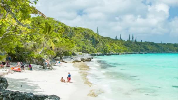 Mystery Island Vanuatu Persoon Snorkelen Helder Tropisch Blauw Water Omringd — Stockvideo