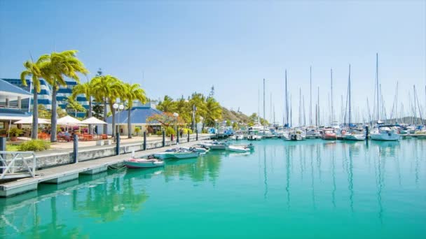 Noum Yeni Kaledonya Port Moselle Marina Rıhtım Ile Turkuaz Deniz — Stok video