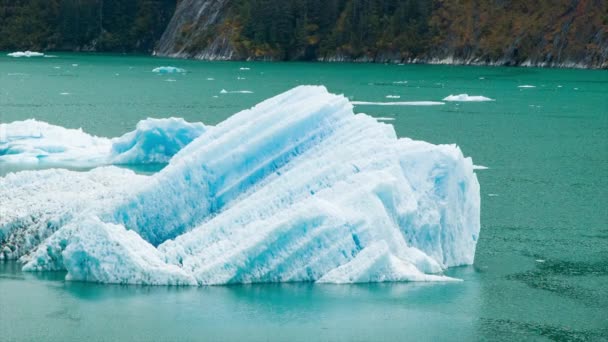 Iceberg Zbliżenie Pływające Przez Podczas Malowniczego Rejsu Tracy Arm Fjord — Wideo stockowe