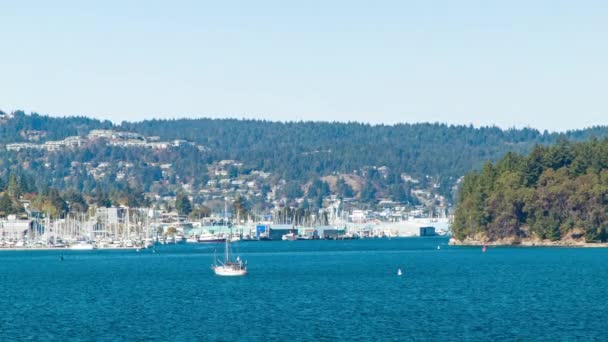 Hamnstaden Nanaimo Vancouver Islanda Med Marina Stränderna Fjärran Sunnay Dag — Stockvideo