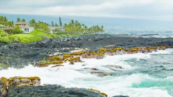 Pacific Ocean White Water Splashing Textured Lava Rock Shore Kailua — Stock Video