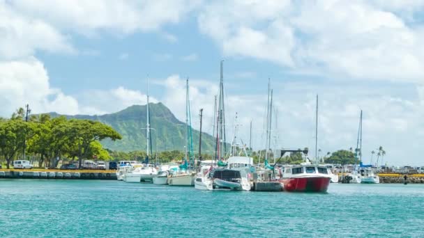 Honolulu Hawaii Barche Vela Yacht Con Sfondo Diamond Head Durante — Video Stock