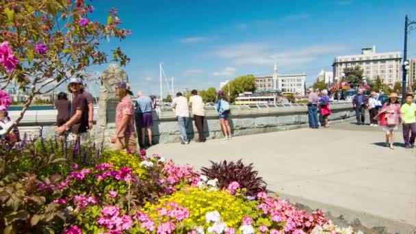 Victoria British Columbia Turistas Caminando Por Puerto Interior Frente Mar — Vídeos de Stock