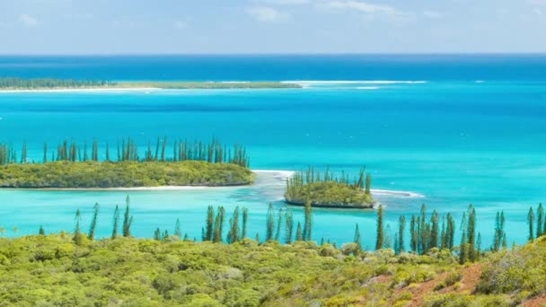 Insel Der Kieferninseln Der Tropischen Lagune Der Exotischen Französischen Gemeinschaft — Stockvideo