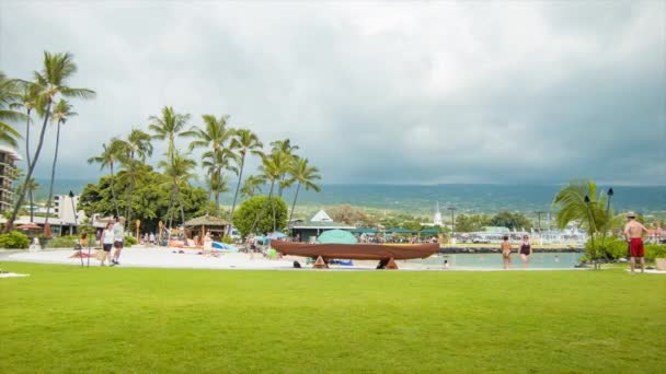 カイルアコナエキゾチックハワイアンビーチフロントリゾートと熱帯ヤシの木の下で緑の草の上にプライベートビーチを楽しむ人々と — ストック動画