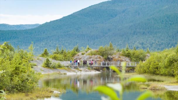 Відвідувачі Вивчають Природні Стежки Tongass Національний Парк Менденхолл Льодовик Біля — стокове відео