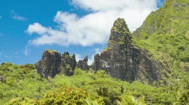 Moorea Adası Fransız Polinezyası Coğrafi Dağ Topografyası Ile Closeup Detay Doğa Manzara Ayarı Güneşli Havalarda