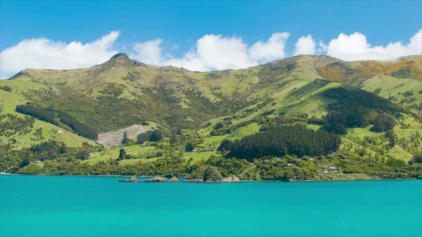 Akaroa New Zealand Panning Green Mountains Rodeando Porto Médio Tiro — Vídeo de Stock