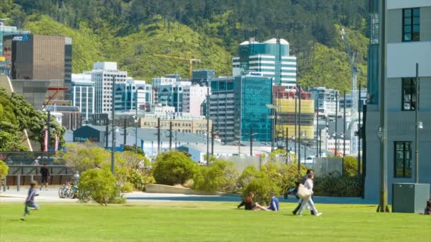 夏の日の日に緑の芝生と都市の建物を背景にワタンギ公園で遊ぶウェリントンニュージーランドの地元の人々 — ストック動画