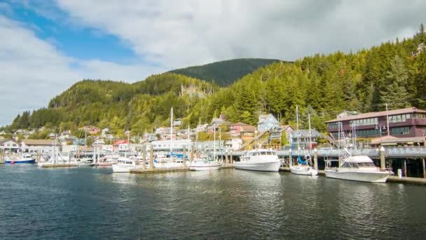 Ketchikan Alaska Waterfront Marina Mit Yachten Und Booten Bei Perfektem — Stockvideo