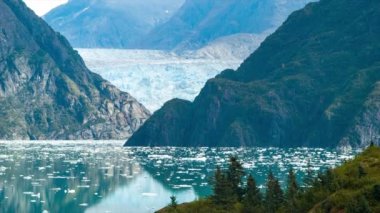 Cruise Ship Bend Around comes olarak Tracy Arm Fjord Alaska Sawyer Glacier Hareketli Telefoto Görünümü