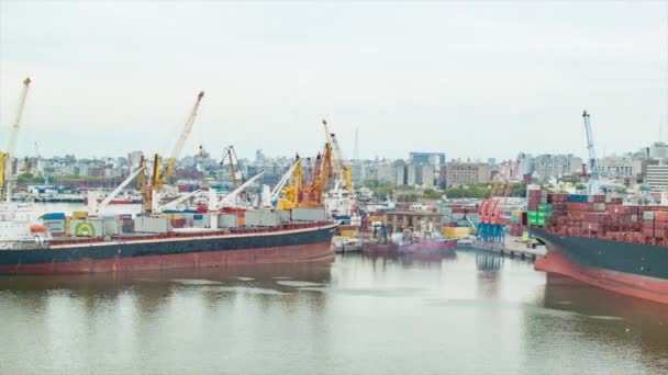 Panning Container Schepen Aangemeerd Haven Van Montevideo Uruguay Als Een — Stockvideo