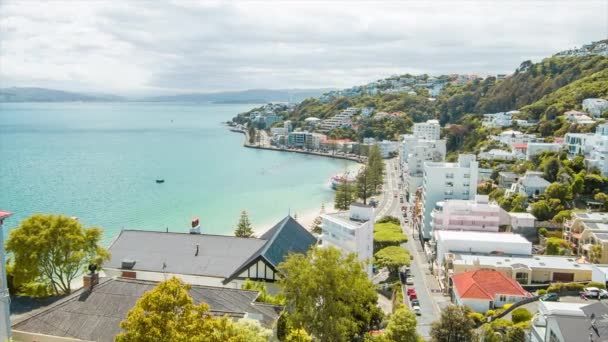 Wellington New Zealand Oriental Bay Oceanfront Properties Street Traffic Sunny — стоковое видео