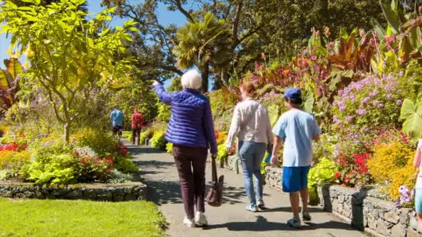 维多利亚不列颠哥伦比亚家庭走在五颜六色的花园的灯塔山公园在阳光明媚的加拿大夏季日 — 图库视频影像