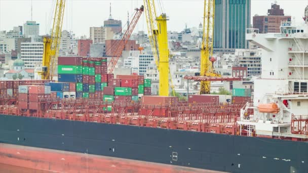 Large Container Ship Montevideo Capital City Uruguay Background Moving Cranes — Stock Video