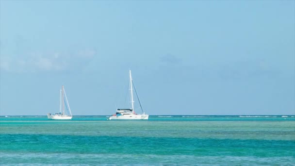 Barcos Vela Luxo Yachts Águas Tropicais Pacífico Sul Polinésia Francesa — Vídeo de Stock