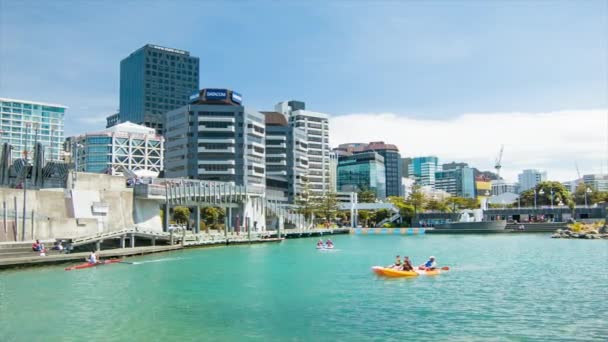 Wellington Waterfront Recreation City Center Families Enjoying Kayaking Paddleboats Downtown — Videoclip de stoc