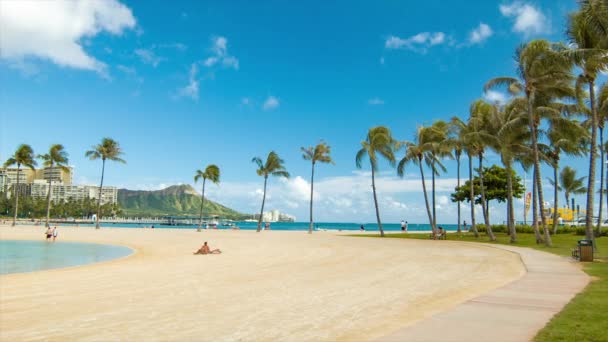 Waikiki Beach Perfektes Tropisches Hawaiianisches Resort Direkt Strand Mit Palmen — Stockvideo