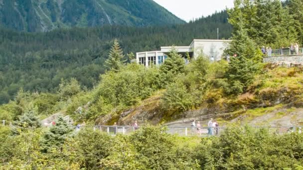 Mendenhall Gleccser Látogatók Center Épület Hegyekben Belül Tongass National Forest — Stock videók