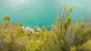 Turkuaz Deniz Suyu Balıkçı Teknesi ile Mount Maunganui Top Yerli Yaprakları ile Tauranga Yeni Zelanda Pasifik Okyanusu Görünümü