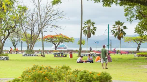 Obyvatelé Fidži Parku Suva Městský Park Pikniky Procházky Zelené Trávě — Stock video