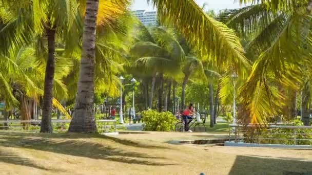 帕皮提塔希提当地人享受在公园与绿色棕榈树在法属波利尼西亚跑步自行车和骑马的娱乐活动 — 图库视频影像