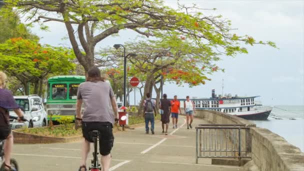 苏瓦斐济游客步行和骑自行车的海滨与车辆和公共交通相邻道路 — 图库视频影像