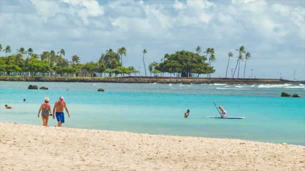 Couple Personnes Âgées Honolulu Hawaii Marchant Long Sable Plage Ala — Video