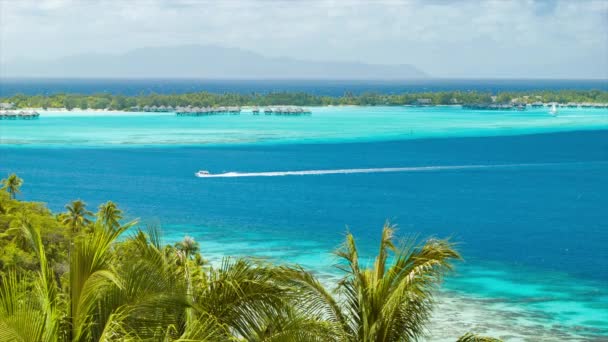 Bora Bora Tropical Wide Lagoon Scene Water Bungalows Exotic Luxury — Stock Video