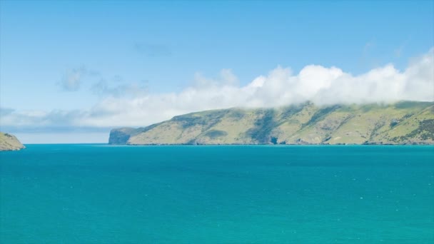 Akaroa Nya Zeelands Hamn Wide Shot Solig Dag Med Det — Stockvideo