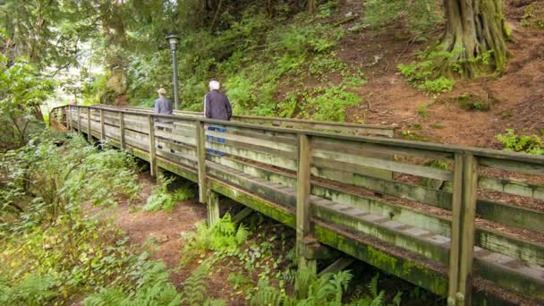 Ketchikan Alaska Casal Aposentado Caminhando Longo Passarela Madeira Área Florestal — Vídeo de Stock