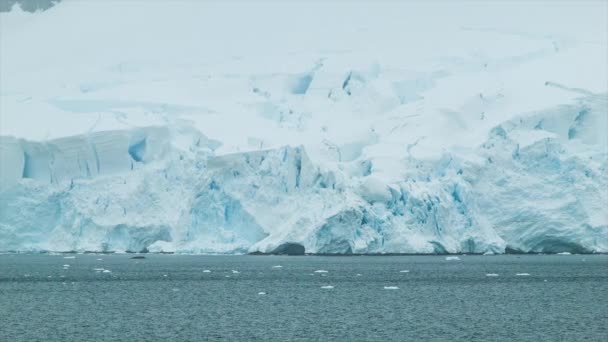 Detalle Primer Plano Las Formaciones Hielo Antárticas Con Icebergs Azules — Vídeo de stock