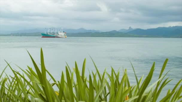 Fartyg Suva Hamn Tropisk Fiji Miljö Med Omgivande Berg Och — Stockvideo