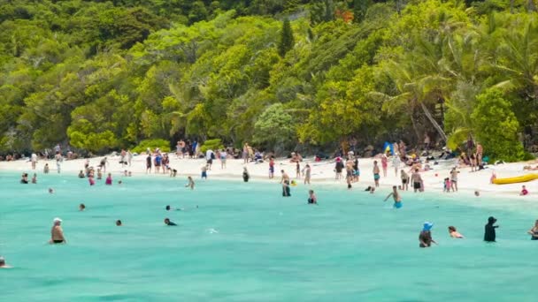 ターコイズブルーウォーターと緑のヤシの木と砂浜と楽園の設定で泳ぐリフー島の観光客 — ストック動画