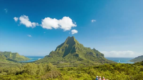 Tilting Belvedere Lookout Moorea Island French Polynesia Tourists View Bays — Stock Video