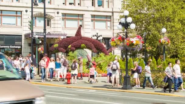 Victoria British Columbia City Escena Callejera Con Turistas Flores Acera — Vídeos de Stock