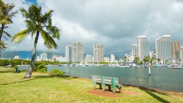 Palmeiras Tropical Oceanfront Setting Com Banco Shoreside Park Honolulu Havaí — Vídeo de Stock