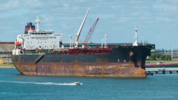 油轮集装箱货船特写 而停靠在加尔维斯顿Tx港在阳光明媚的炎热得克萨斯州日 — 图库视频影像