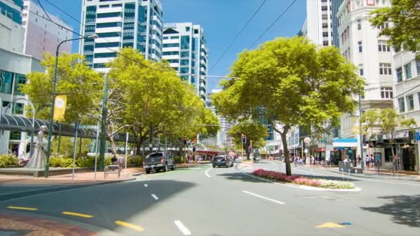 Wellington Élénk Belvárosi Utca Jelenet Járműforgalom Között Fák Virágok Között — Stock videók