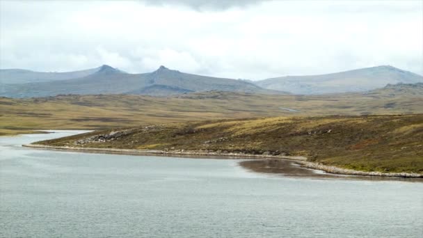 Isole Falkland Paesaggio Naturale Primo Piano Panning Scene Con Colline — Video Stock