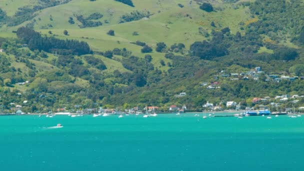 Akaroa Cidade Distante Nova Zelândia Vista Água Mar Azul Porto — Vídeo de Stock