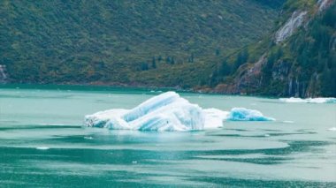 Alaska Tracy Arm Fjord bir Manzara Cruise sırasında Yüzen Buzdağı